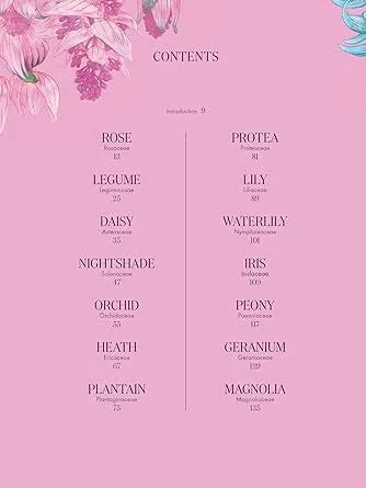 Hachette Book Group Petal The World of Flowers Through an Artists Eye Book Necklaces
