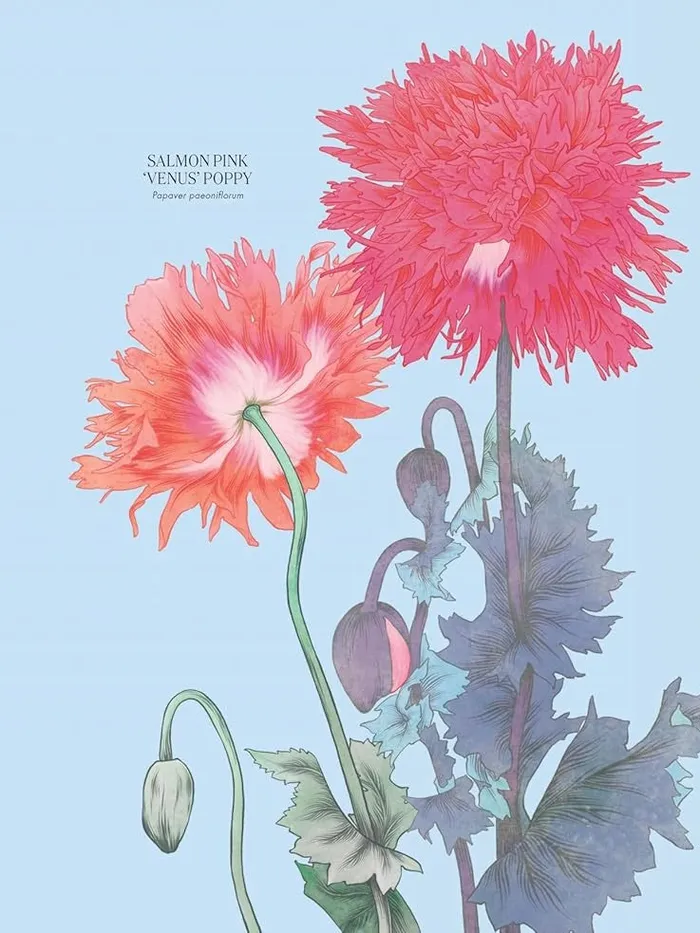 Hachette Book Group Petal The World of Flowers Through an Artists Eye Book Necklaces