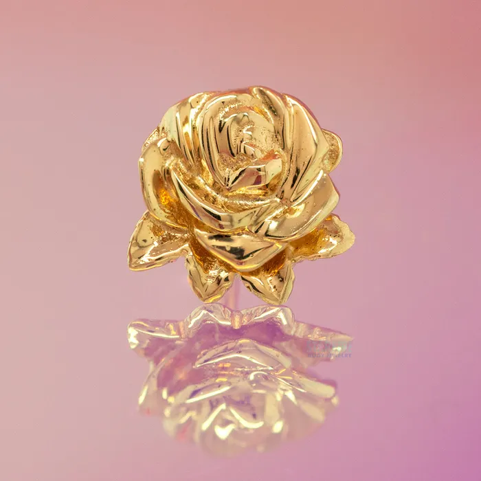 Earrings Junipurr Jewelry threadless Rosie End in Gold