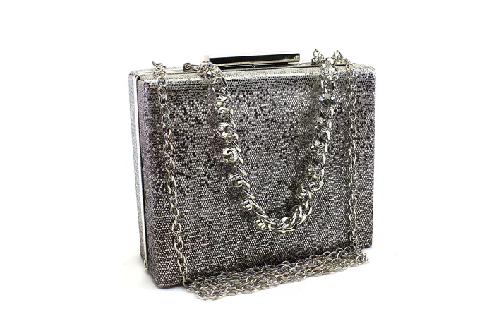 Women Stylish Party Bag 14239B Walkeaze Earrings