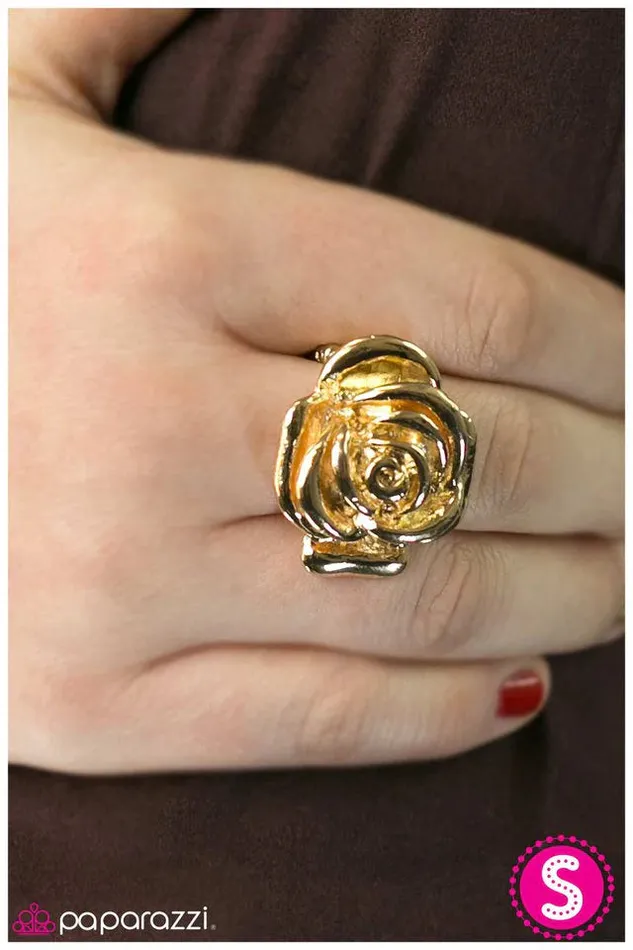 Paparazzi Jewelry Rings Paparazzi Ring Amazing Grace Gold