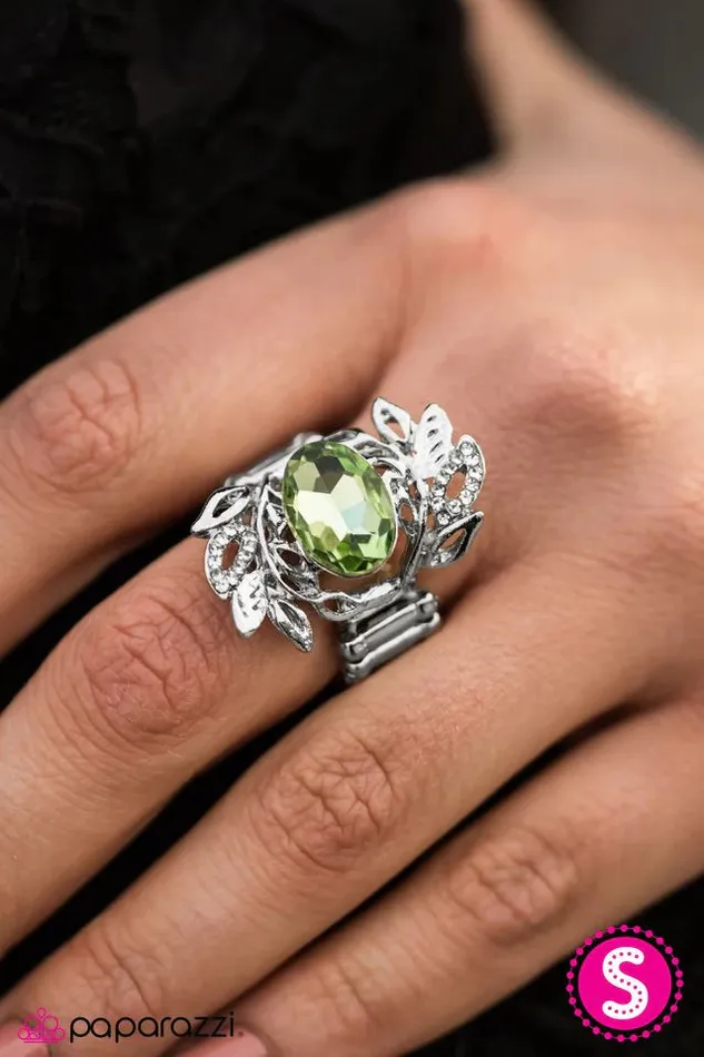 Paparazzi Jewelry Rings Paparazzi Ring Glamor Garden Green