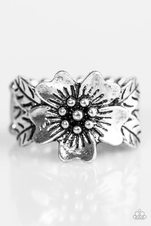 Paparazzi Ring Rio Retreat Silver Paparazzi Jewelry Rings