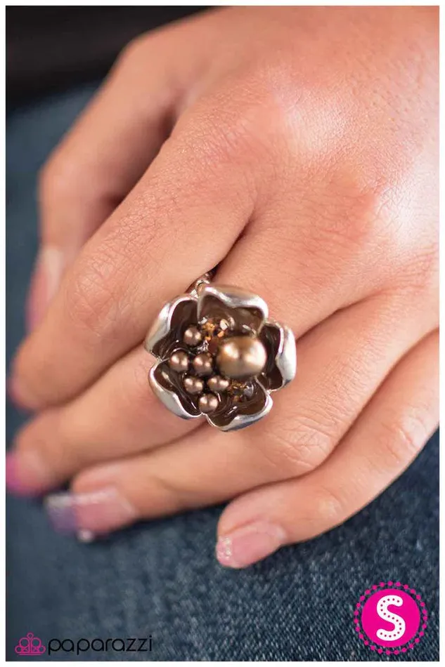 Rings Paparazzi Jewelry Paparazzi Ring Settle In Brown